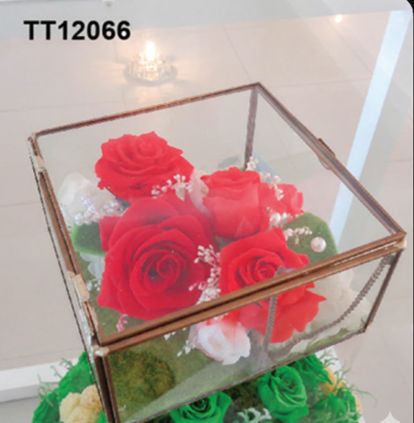 Cube Roses Rouges Élégance – TT12066