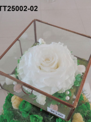 Cube Rose Blanche Prestige – TT25002-02