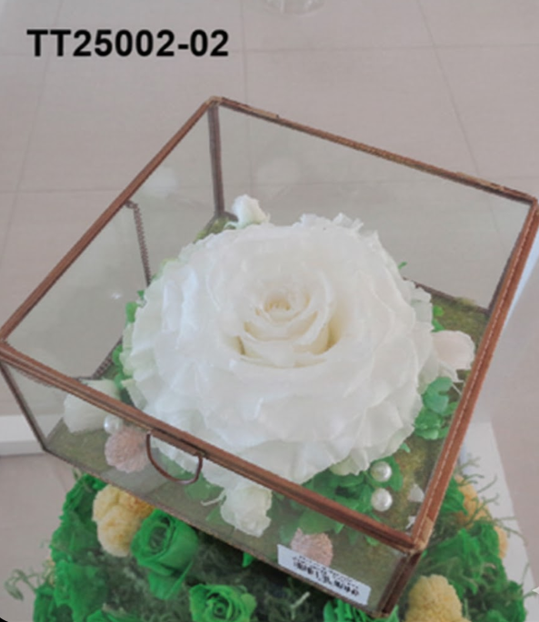 Cube Rose Blanche Prestige – TT25002-02