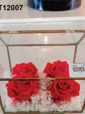 Rectangulaire Roses Rouges - TT12007