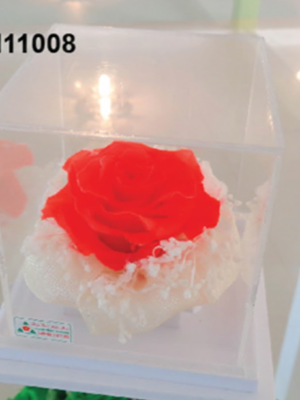 Rose Éternelle Cube Transparent – FM11008