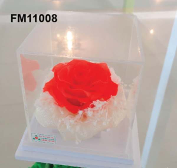 Rose Éternelle Cube Transparent – FM11008