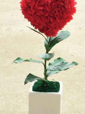 Cœur Floral Rouge Passion – BS12001-02