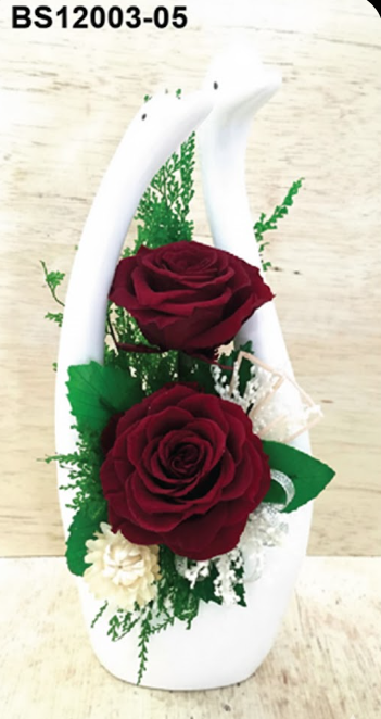 54 Roses Rouges & Duo de Cygnes – BS12003-05