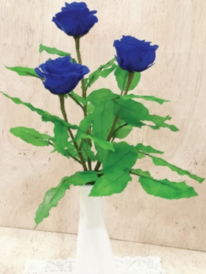 Élégance Bleu Royal  – BS12003-06