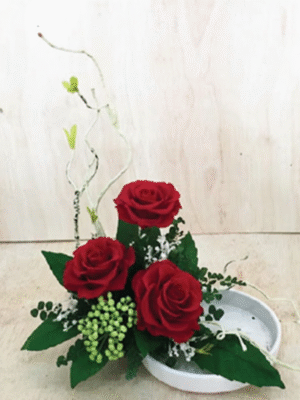 Roses Rouges Harmonie & Nature – BS12003-07