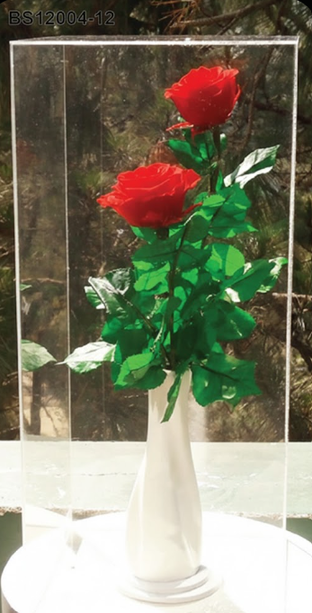 Duo de Roses Rouges – BS12004-12