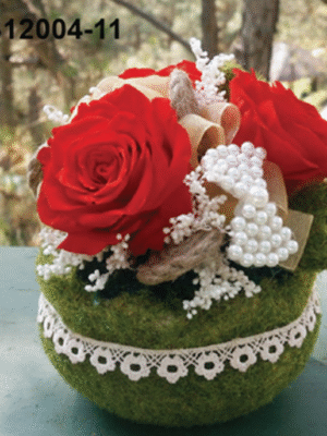 Roses Rouges – BS12004-11