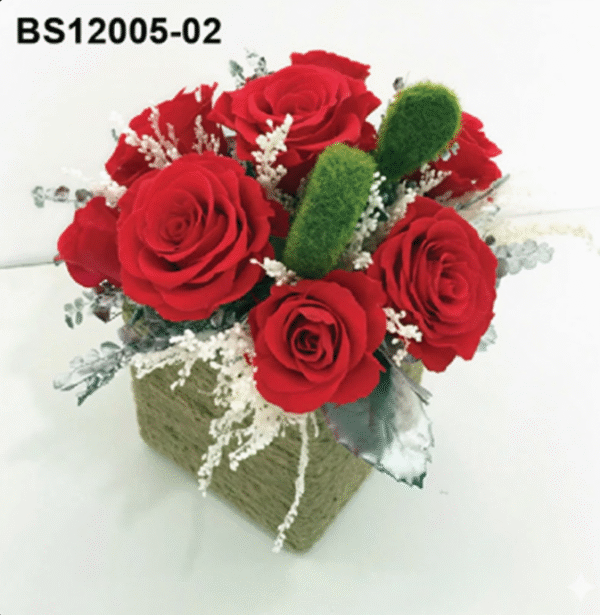 Rouge Intense – BS12005-02