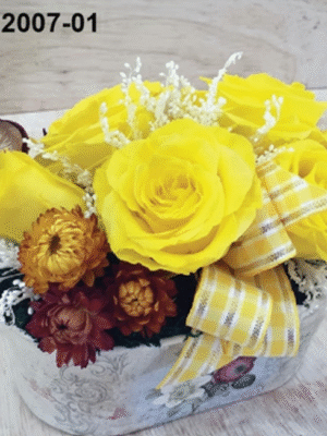 Composition Soleil – BS12007-01