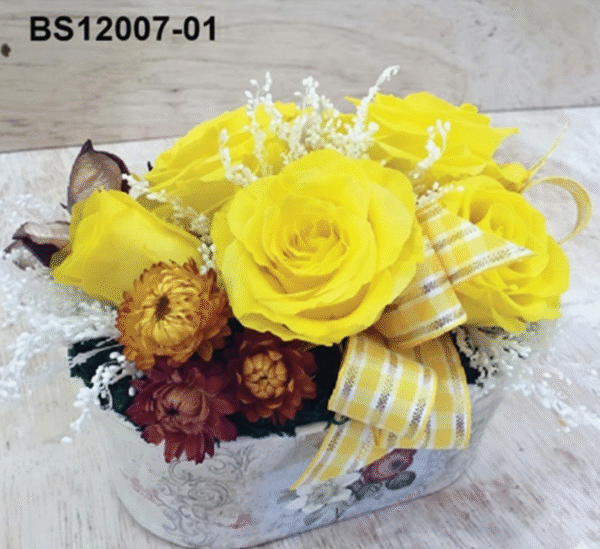 Composition Soleil – BS12007-01