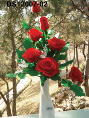 Bouquet de Roses Rouges  – BS12007-02