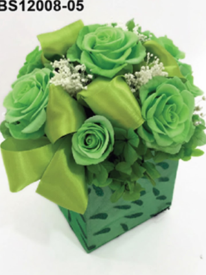 67 Bouquet Vert Velours – BS12008-05