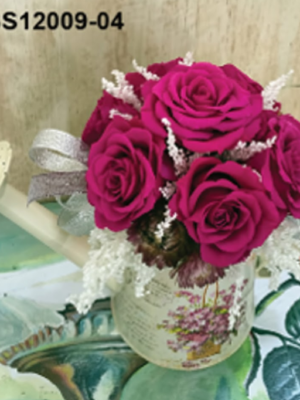 Arrosoir Vintage & Roses  – BS12009-04