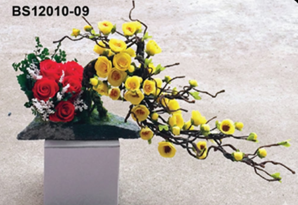 76 Rouges & Cascade Jaune – BS12010-09