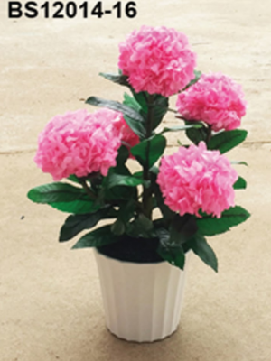 Roses en Pot Élégant – BS12014-16