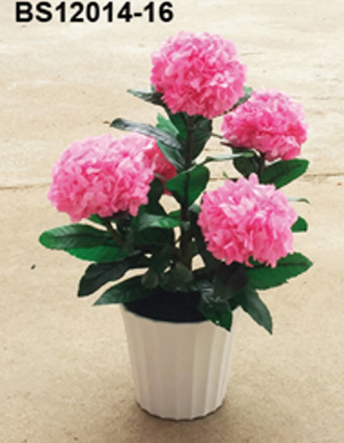Roses en Pot Élégant – BS12014-16