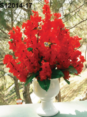 Bougainvilliers Écarlates– BS12014-17