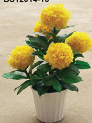 Boules de Pivoines Jaunes  – BS12014-15