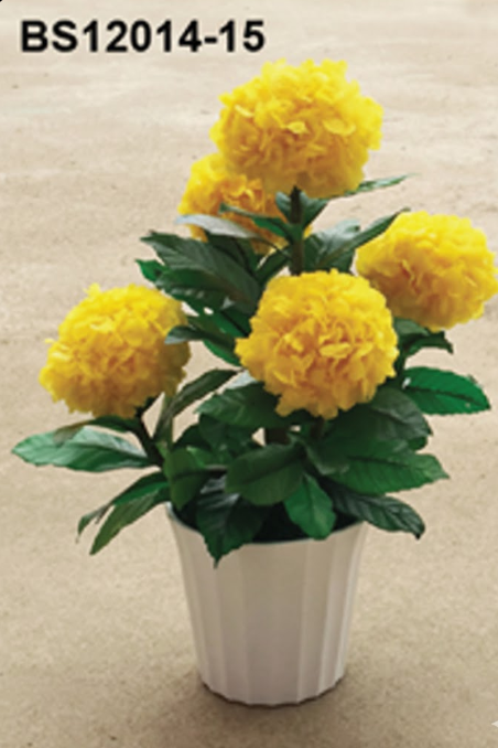 Boules de Pivoines Jaunes  – BS12014-15