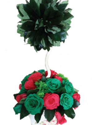 92 Topiaire Bicolore – BS13002-21