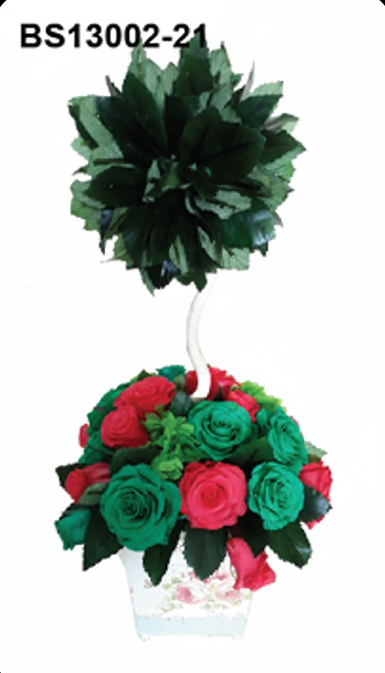 Topiaire Bicolore – BS13002-21