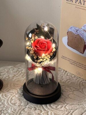 13 Rose Éternelle Lumineuse Sous Cloche