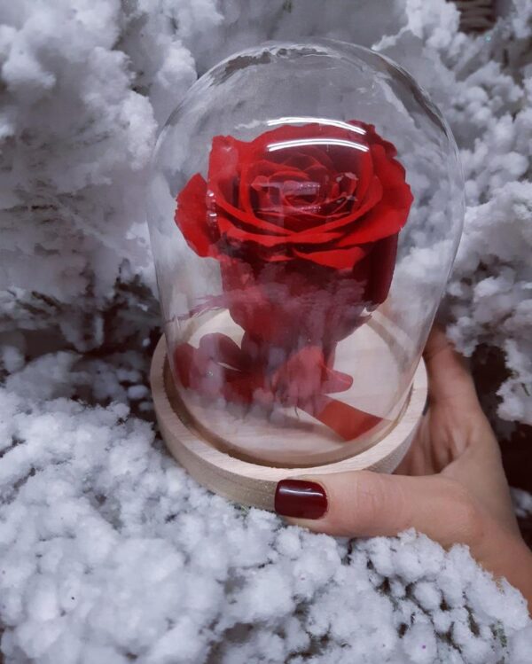 Rose Éternelle Rouge Sous Cloche