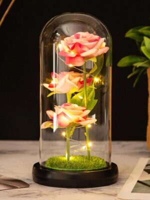 Trio de Roses Lumineuses Sous Cloche