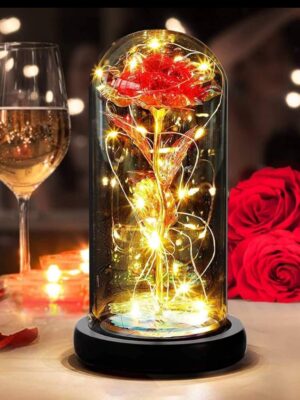 5 Rose Éternelle Lumineuse Sous Cloche