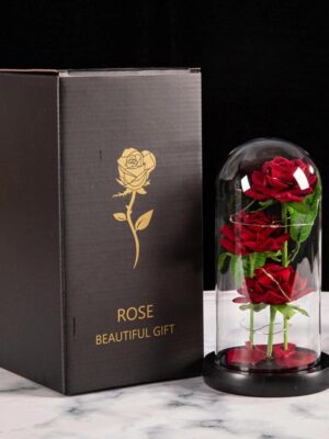 Trio de Roses Éternelles Rouges Prestige