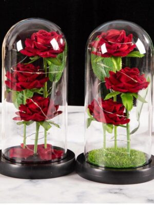 51 Cloche Florale Roses Rouges Intemporelles