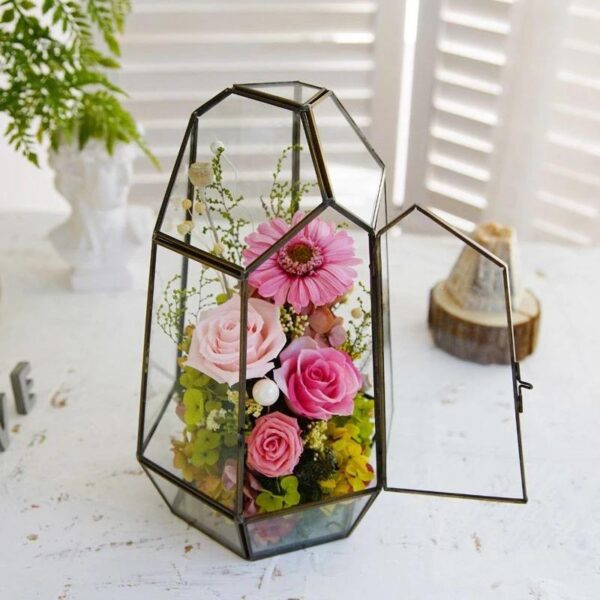 53 Florale Rose en Terrarium Géométrique