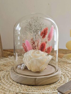 7 Rose Ivoire Florale Sous Cloche