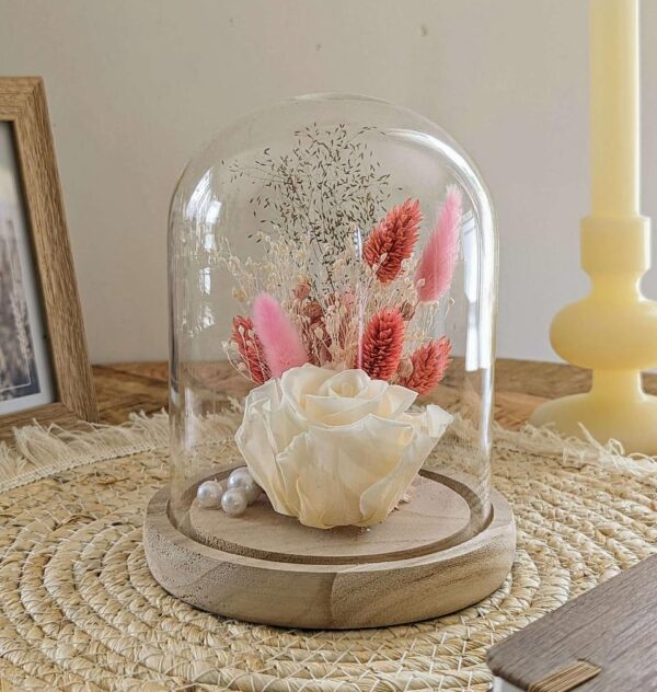 Rose Ivoire Florale Sous Cloche